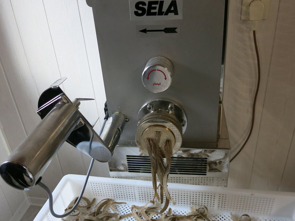 SELA TR 75 W Nudelmaschine Edelstahl mit 3 Teflonmatrizen